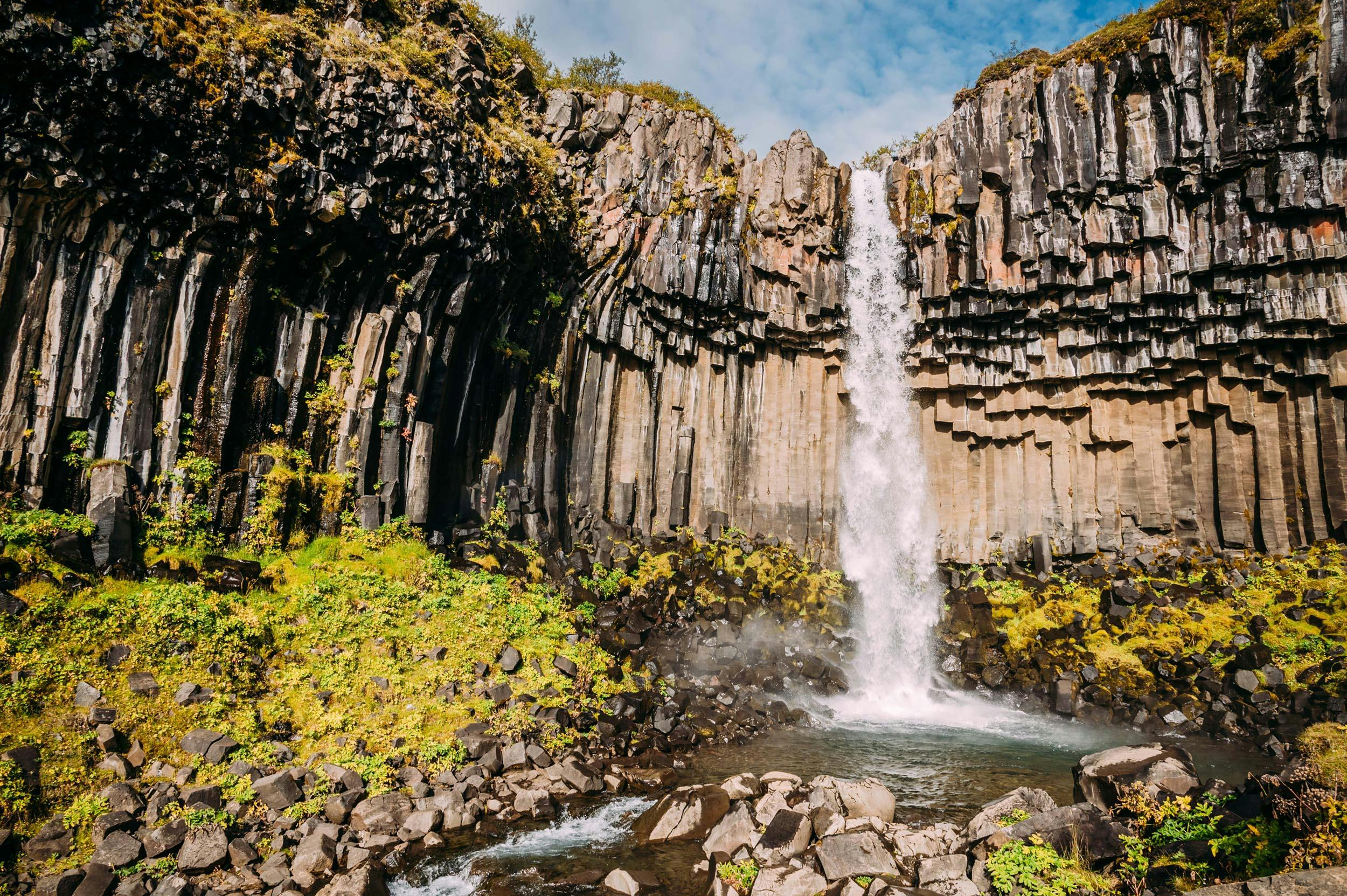 Wasserfall, Svartifoss, Skaftafell, Nationalpark, Island