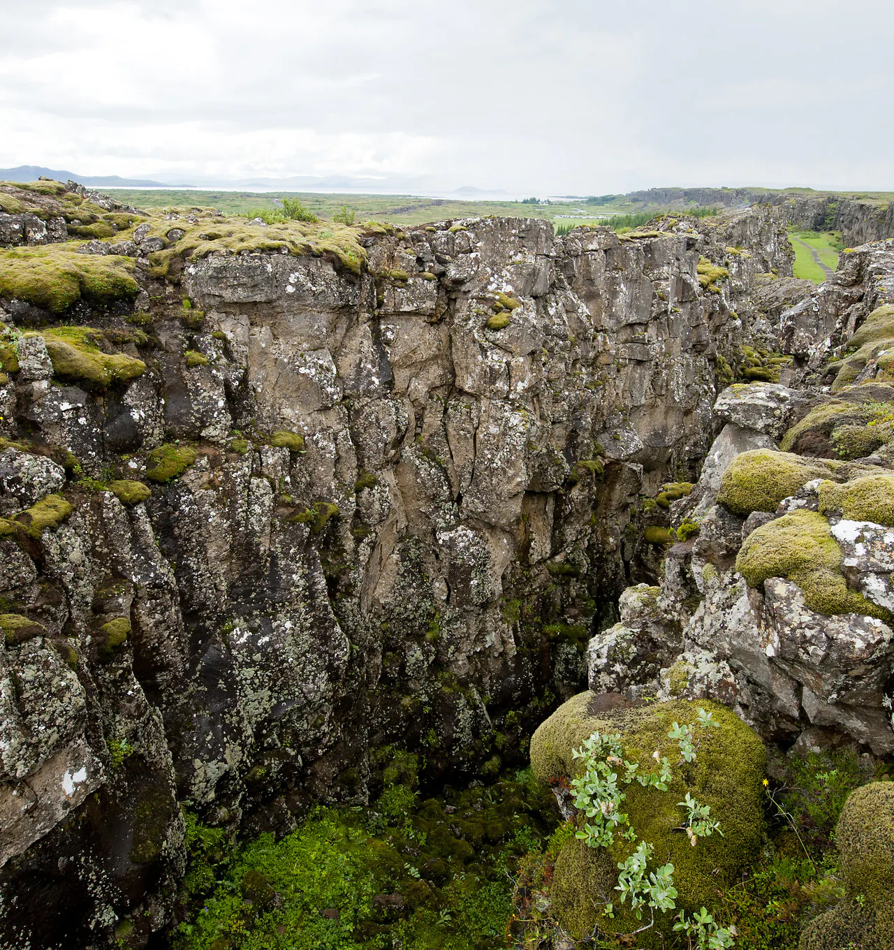 Þingvellir