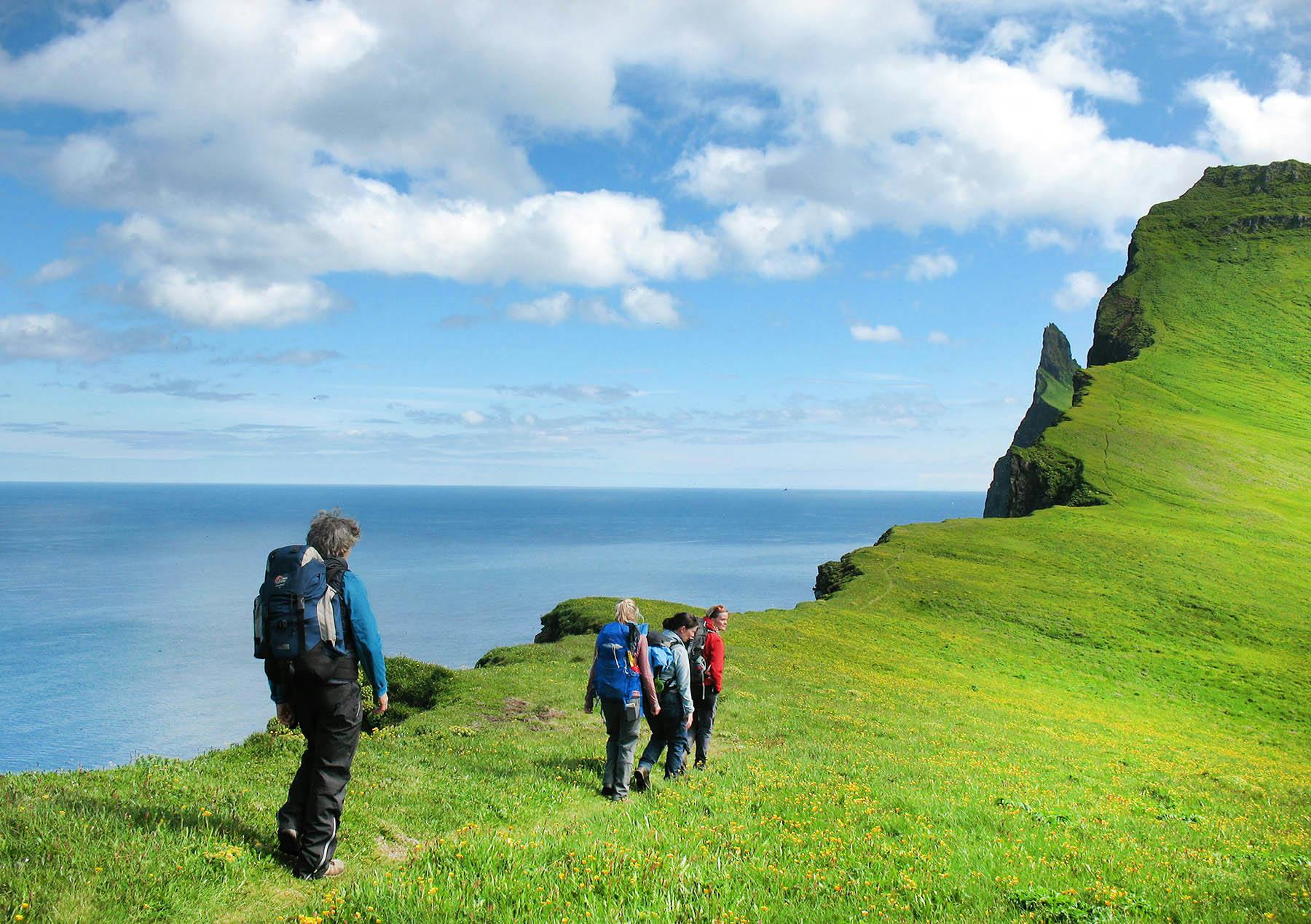 Wandergruppe, Küste, Kliff, Island