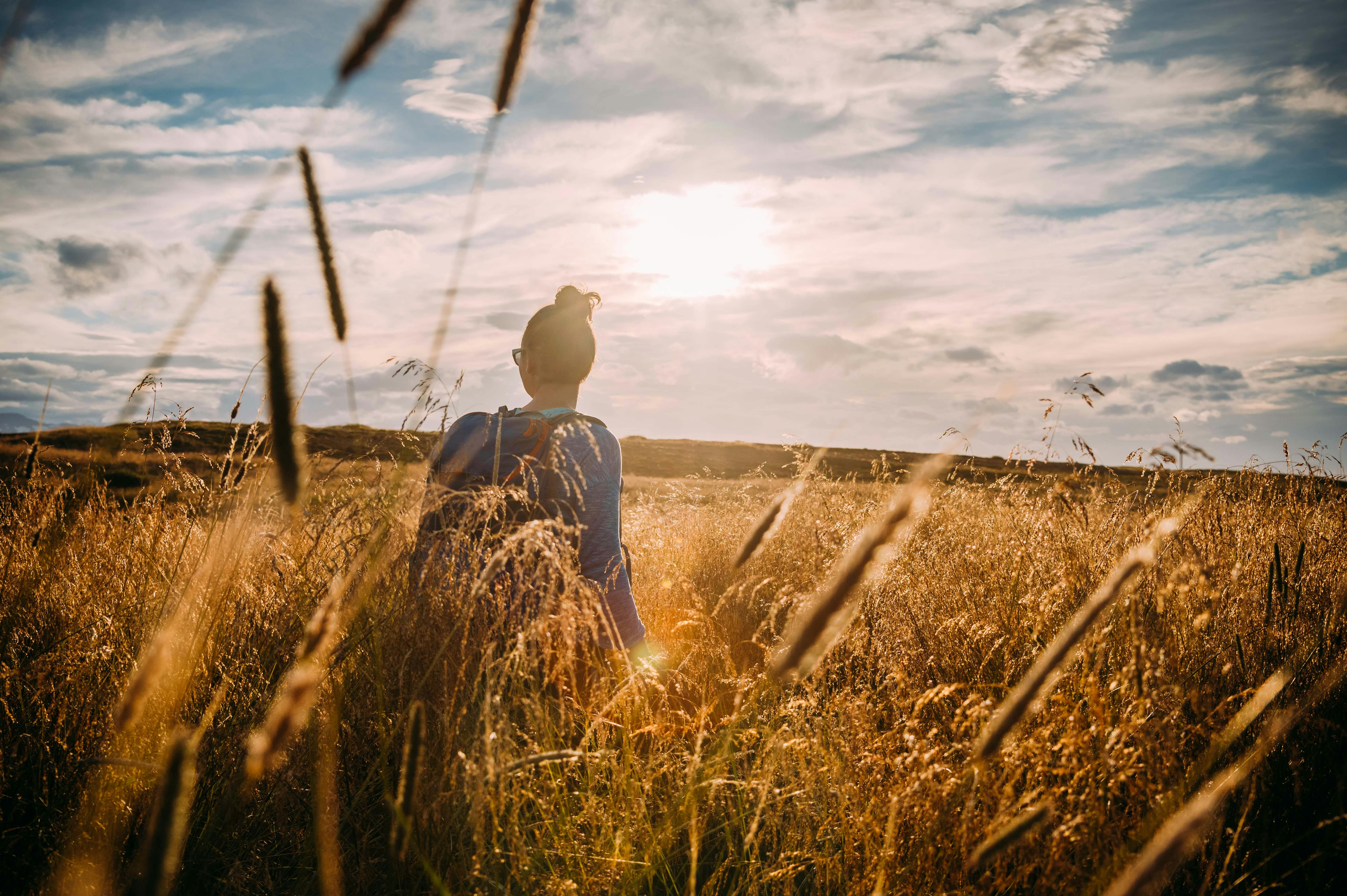 Sonne, Frau, Gras, Island