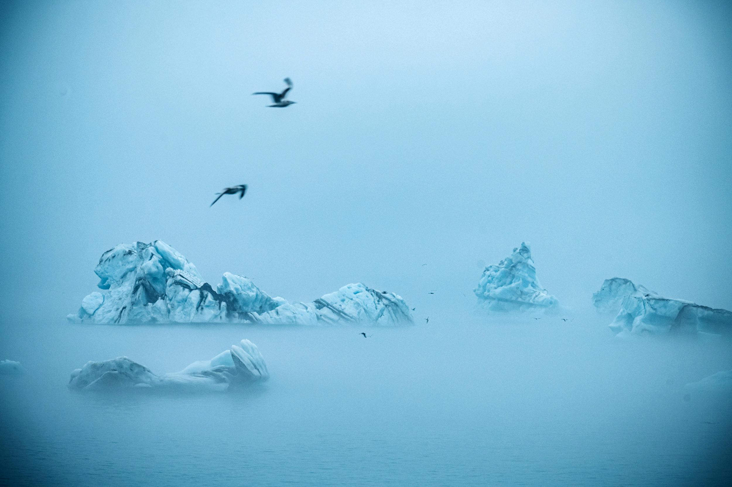 Icebergs, Jokulsarlon, Iceland