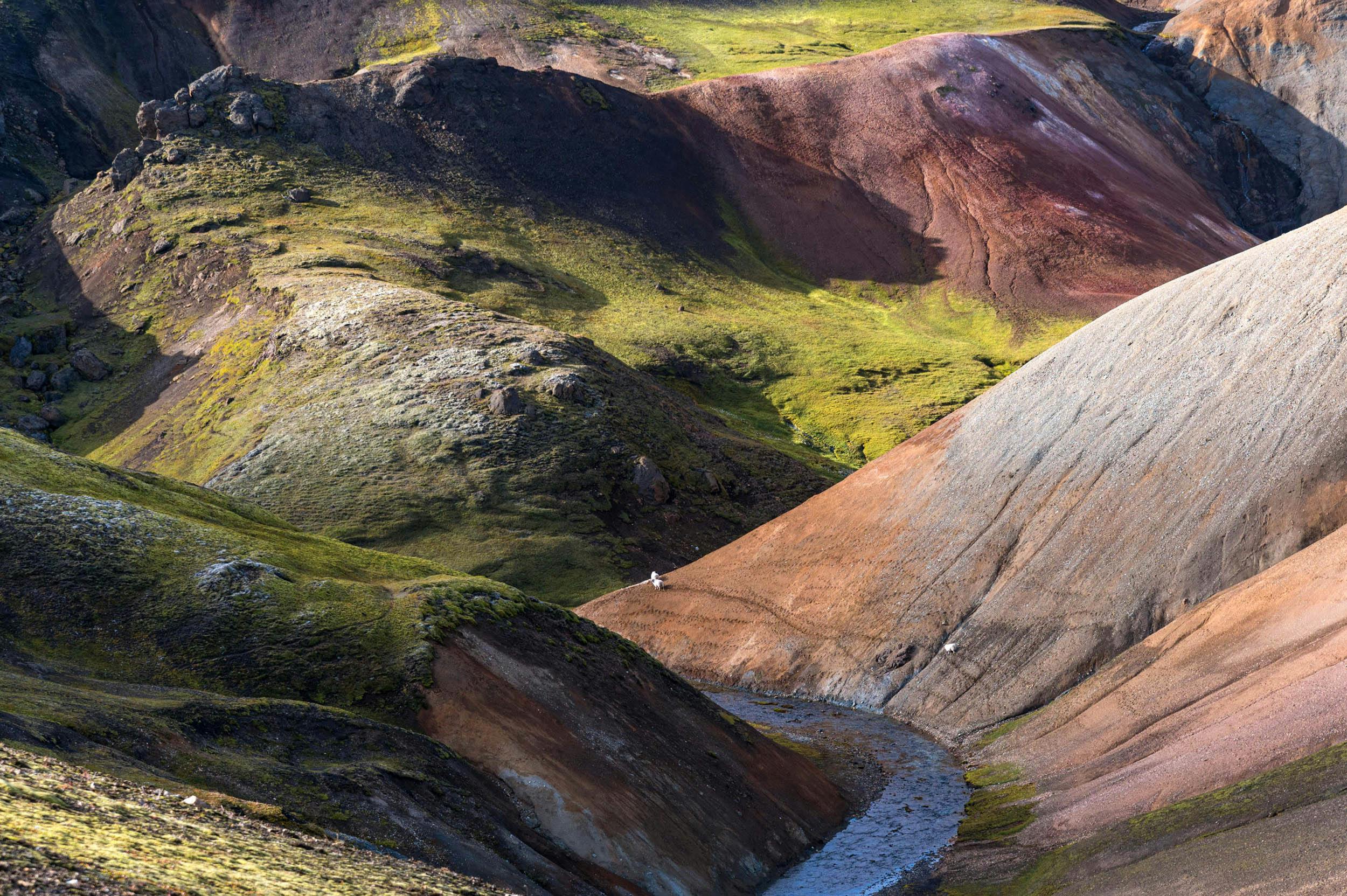 Bunte Berg, Brennisteinsalda, Island 