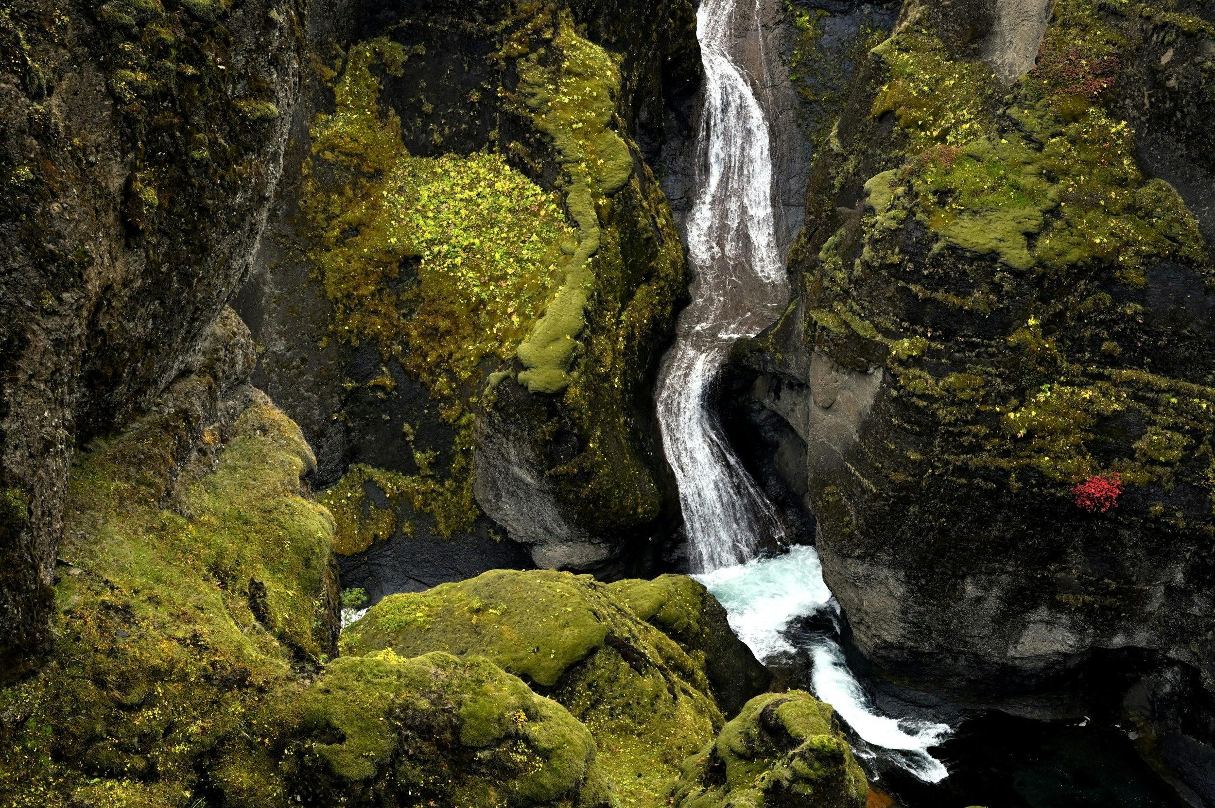 Canyon, Fjaðrárgljúfur, Wasserfall, Island