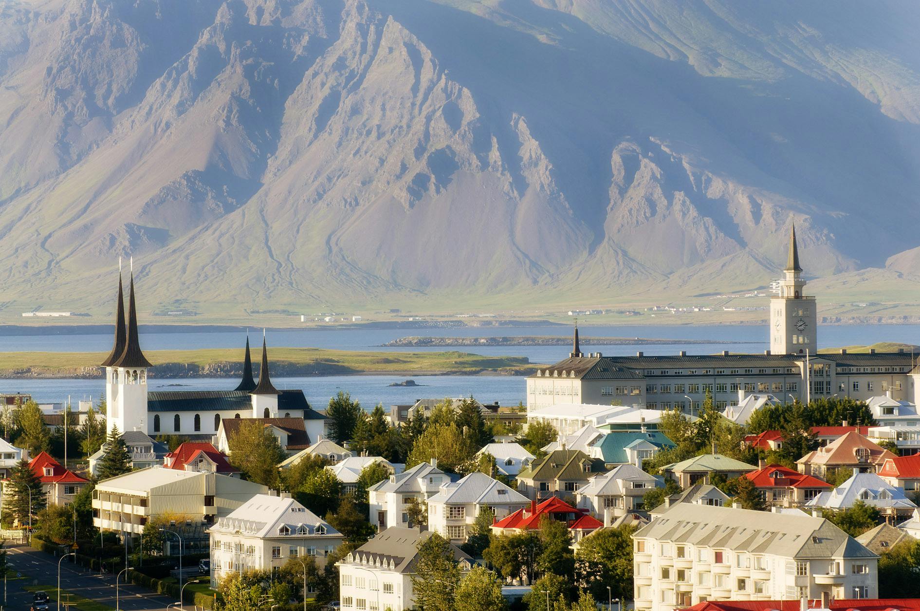 Flanke, Berg Esja, Reykjavik, Island