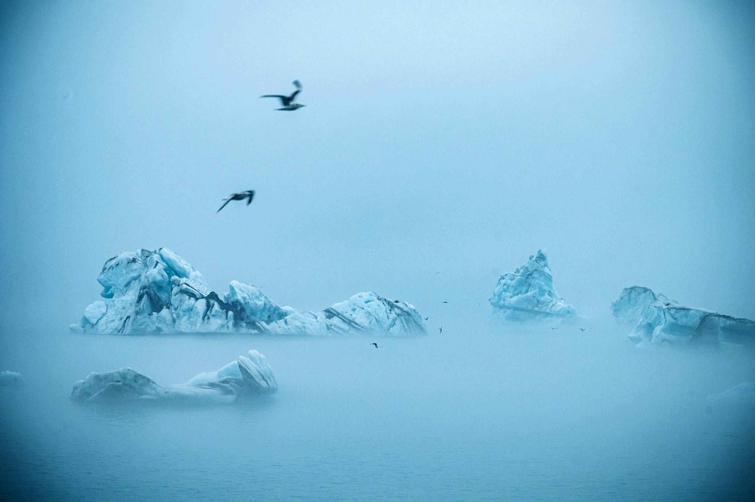 Gletscherlagune, Jökulsárlón, Island