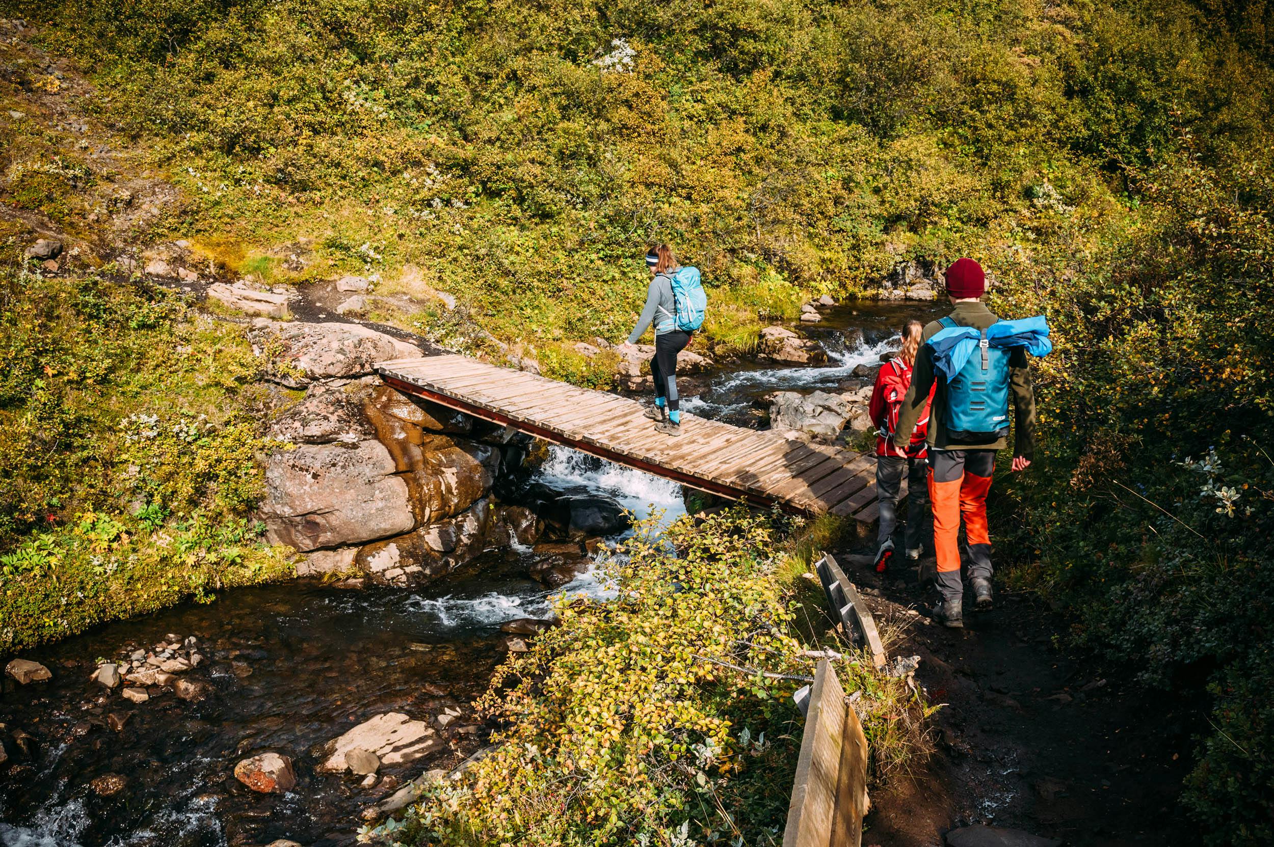 Wanderweg, zum Svartifoss, Island