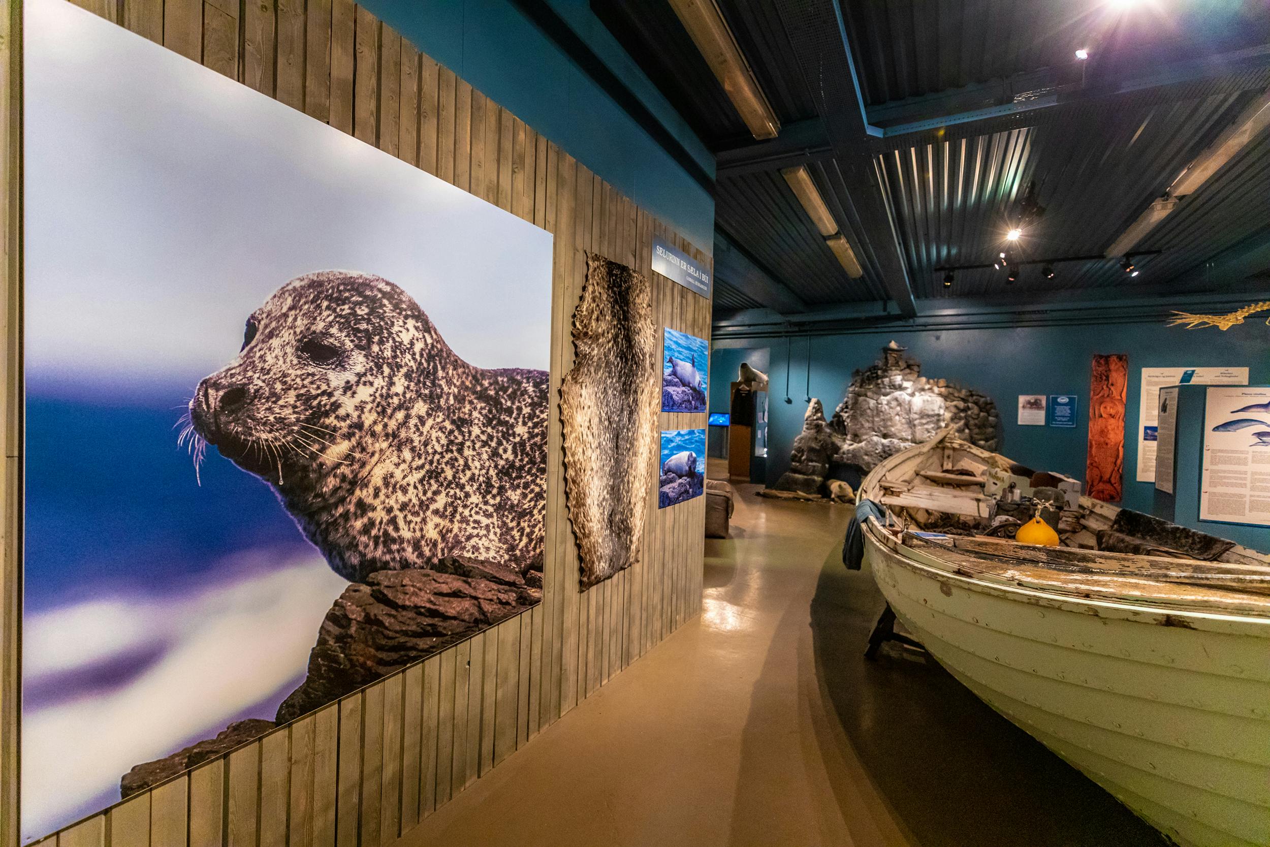Robbenmuseum, Hvammstangi, Island