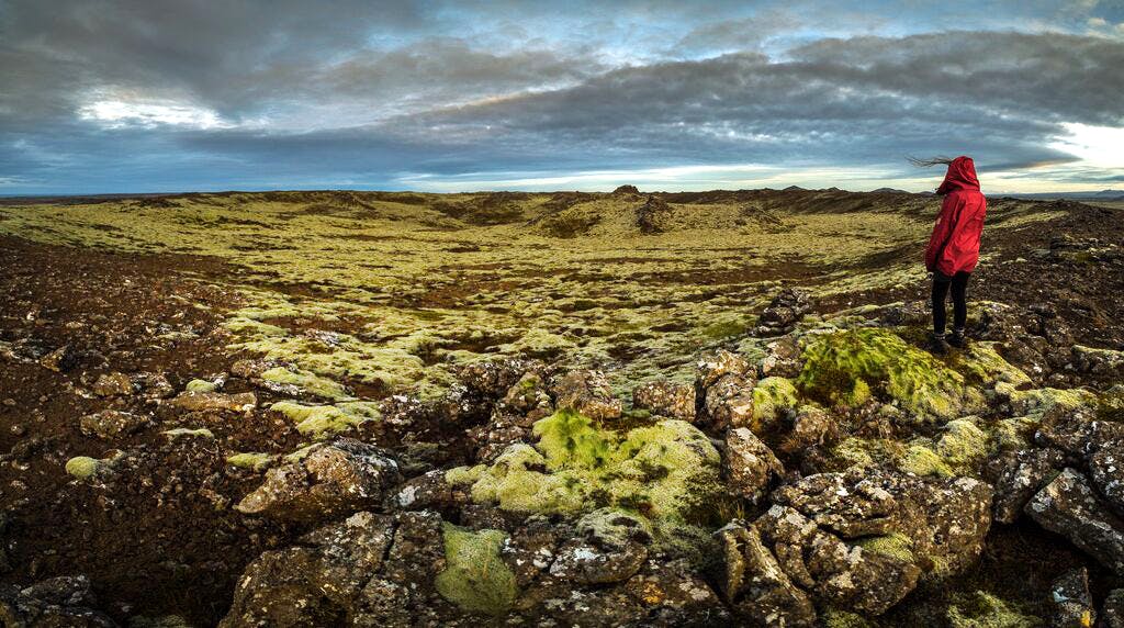 Lava, Landschaft, Mensch, Reykjanes, Island