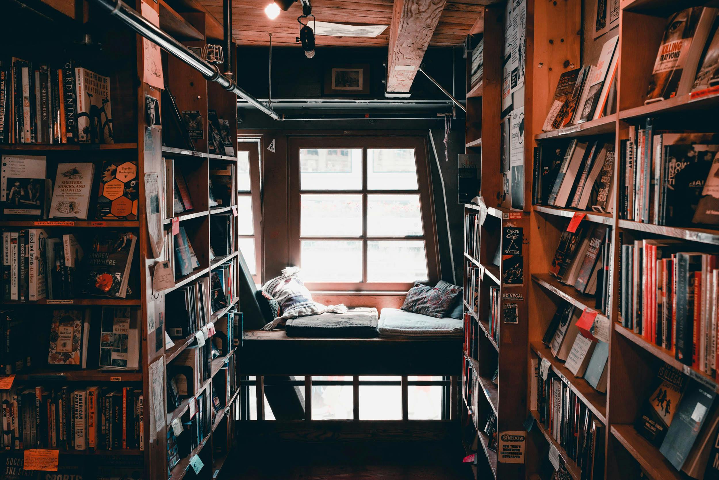 Bücherregale, Fenster, egmütlich, Island