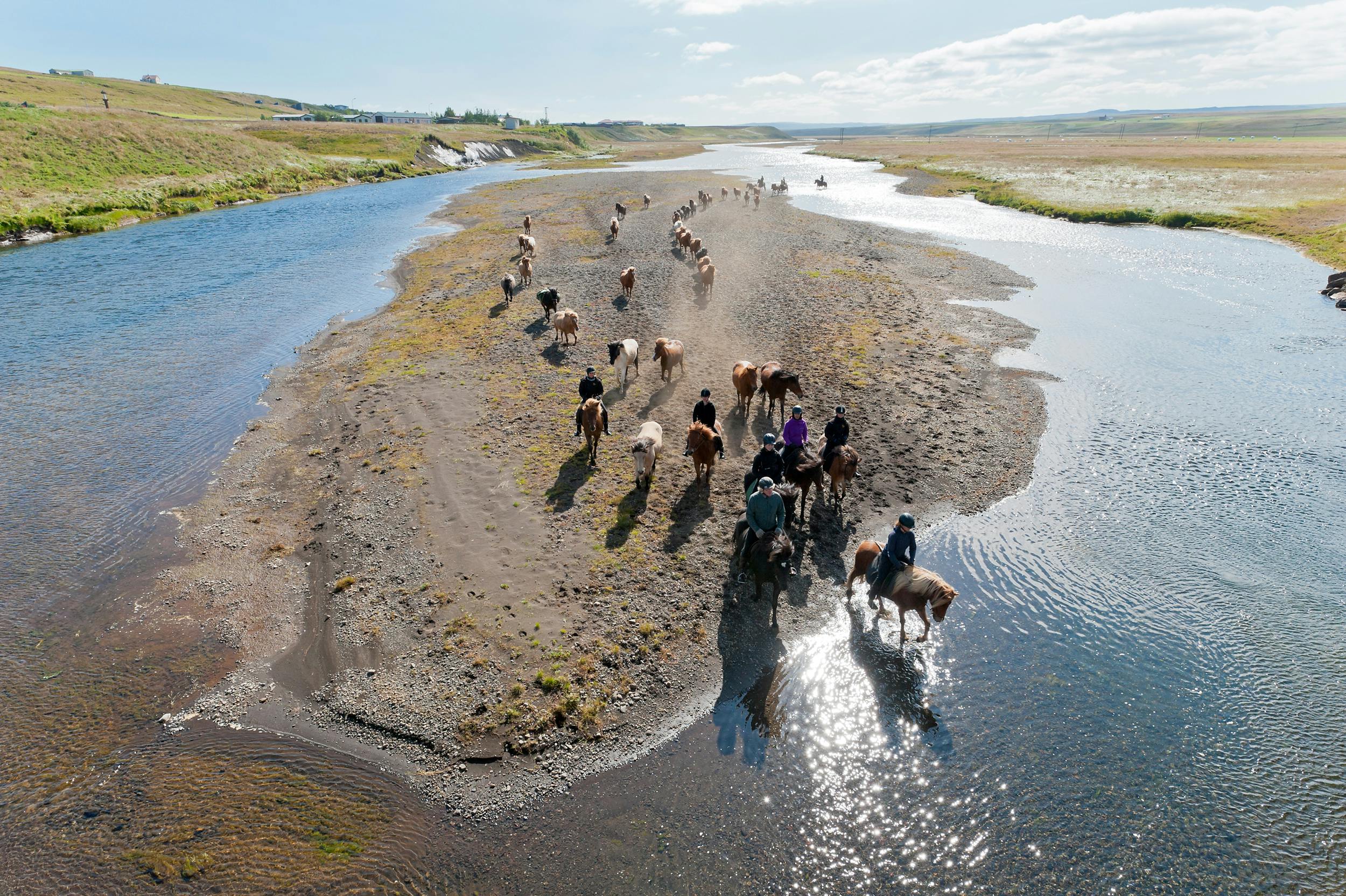 Islandpferdeherde, Flussdurchquerung, Midfjördur, Island