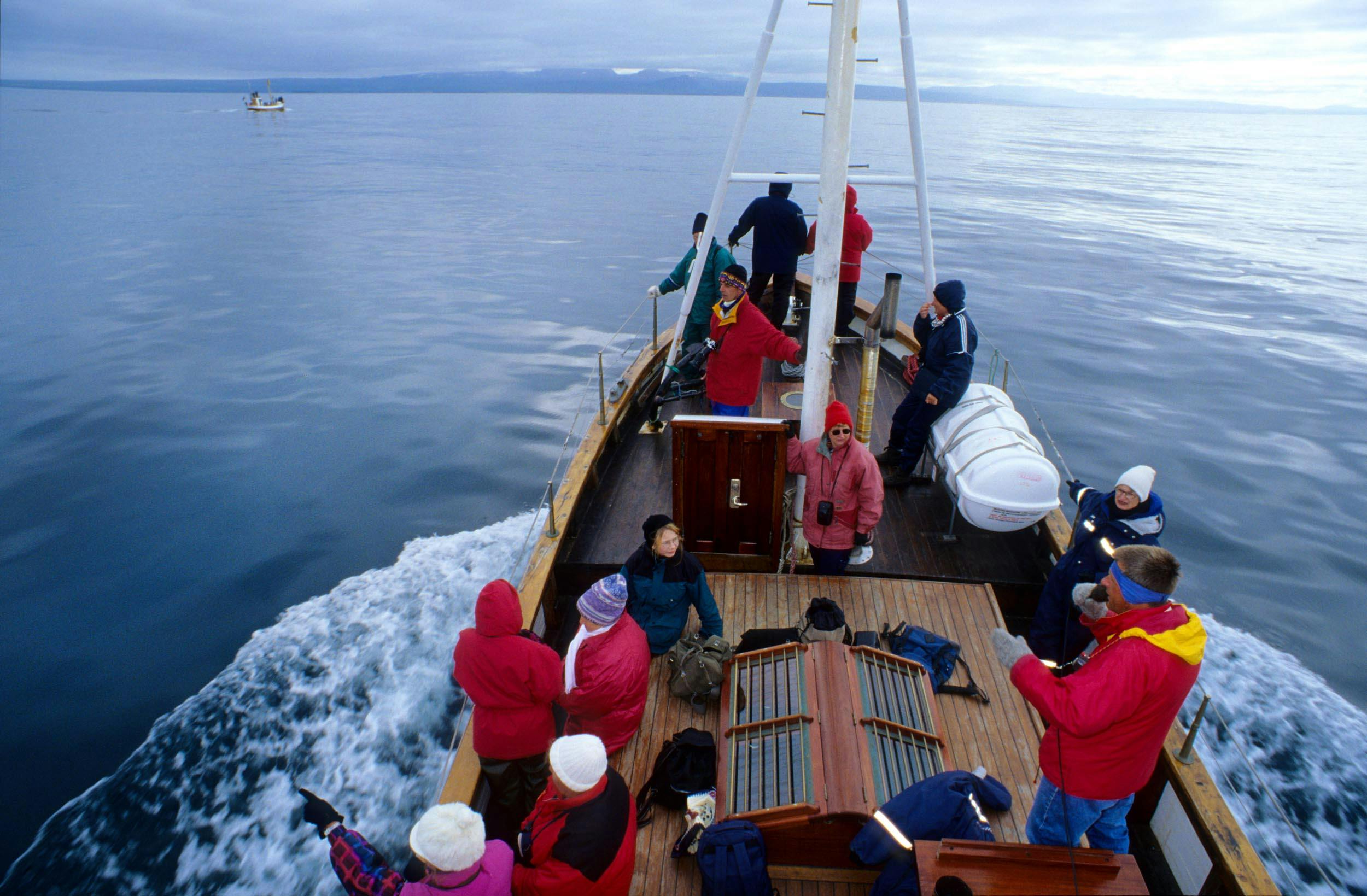 Boot, Whale-Watching Tour, Island