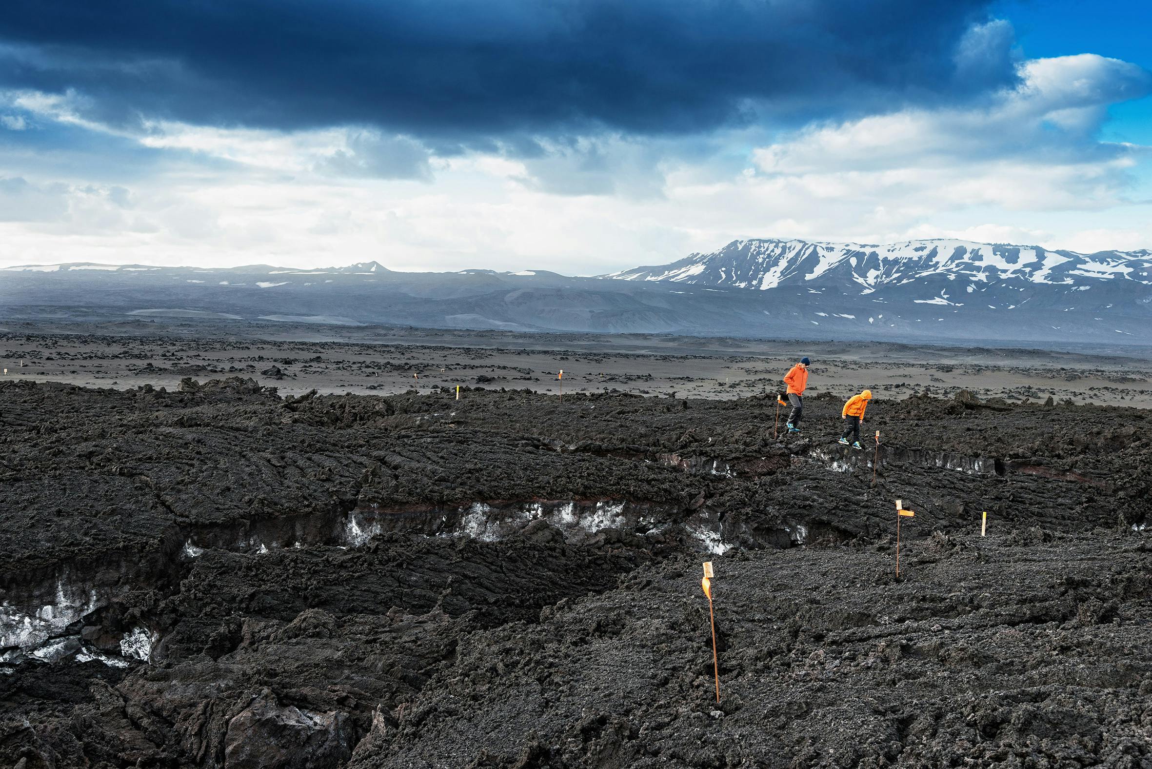 Lavafeld, Holuhraun, Island