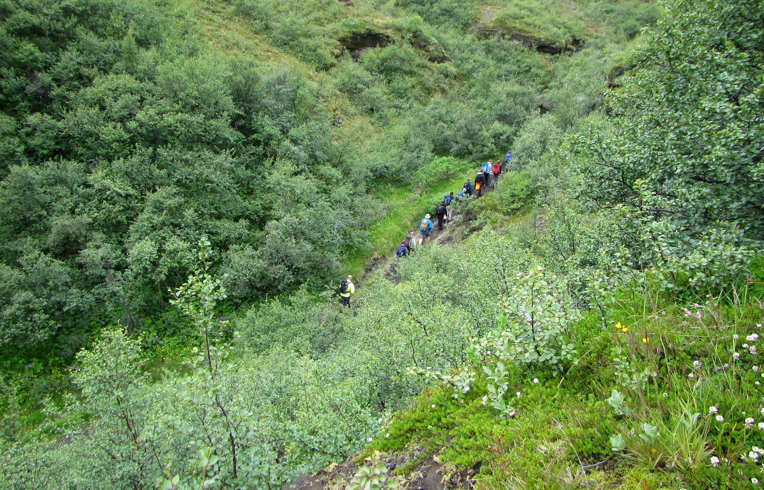 Wandergruppe, Hamraskógur, Thórsmörk, Island