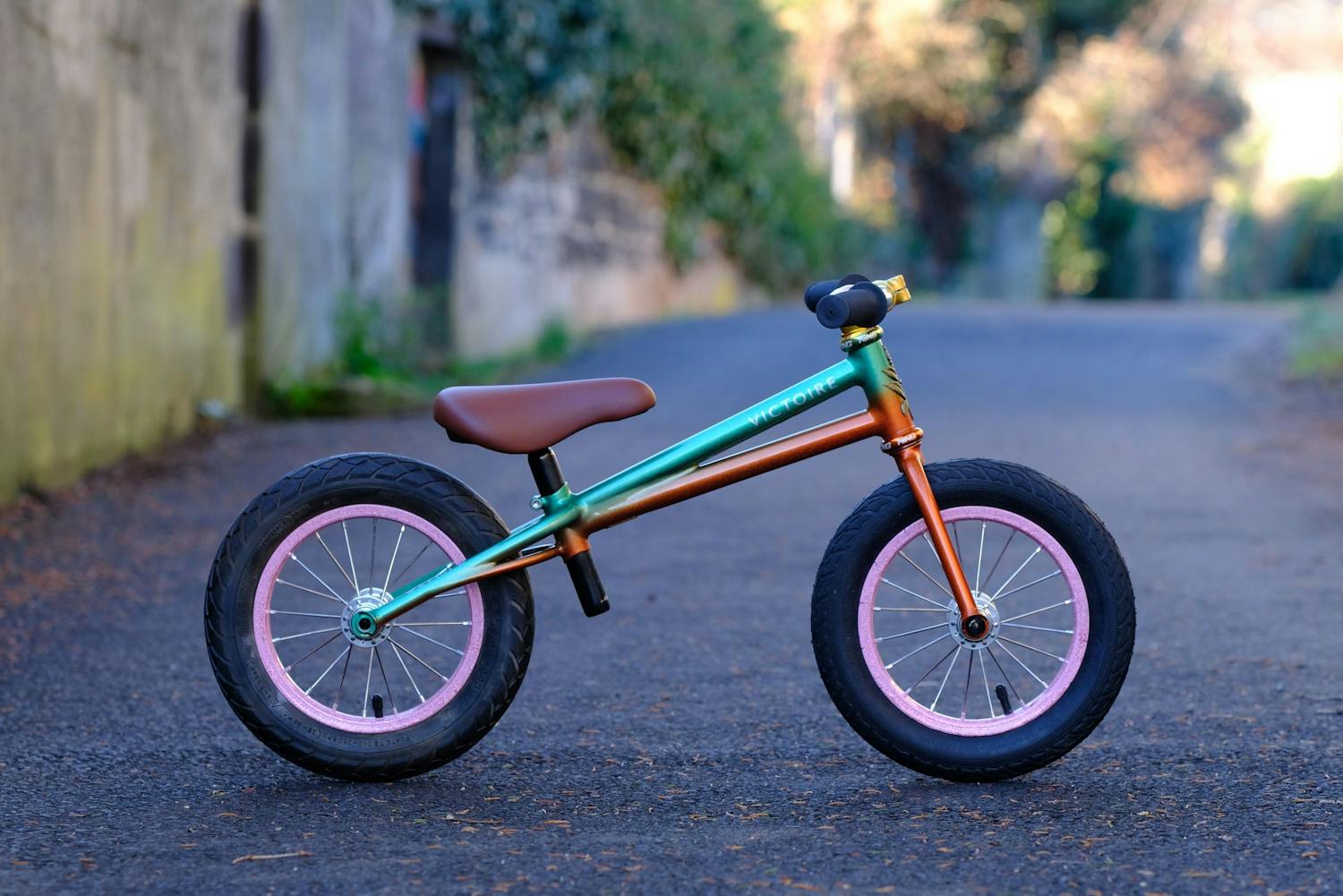  Olympe's harlequin balance bike