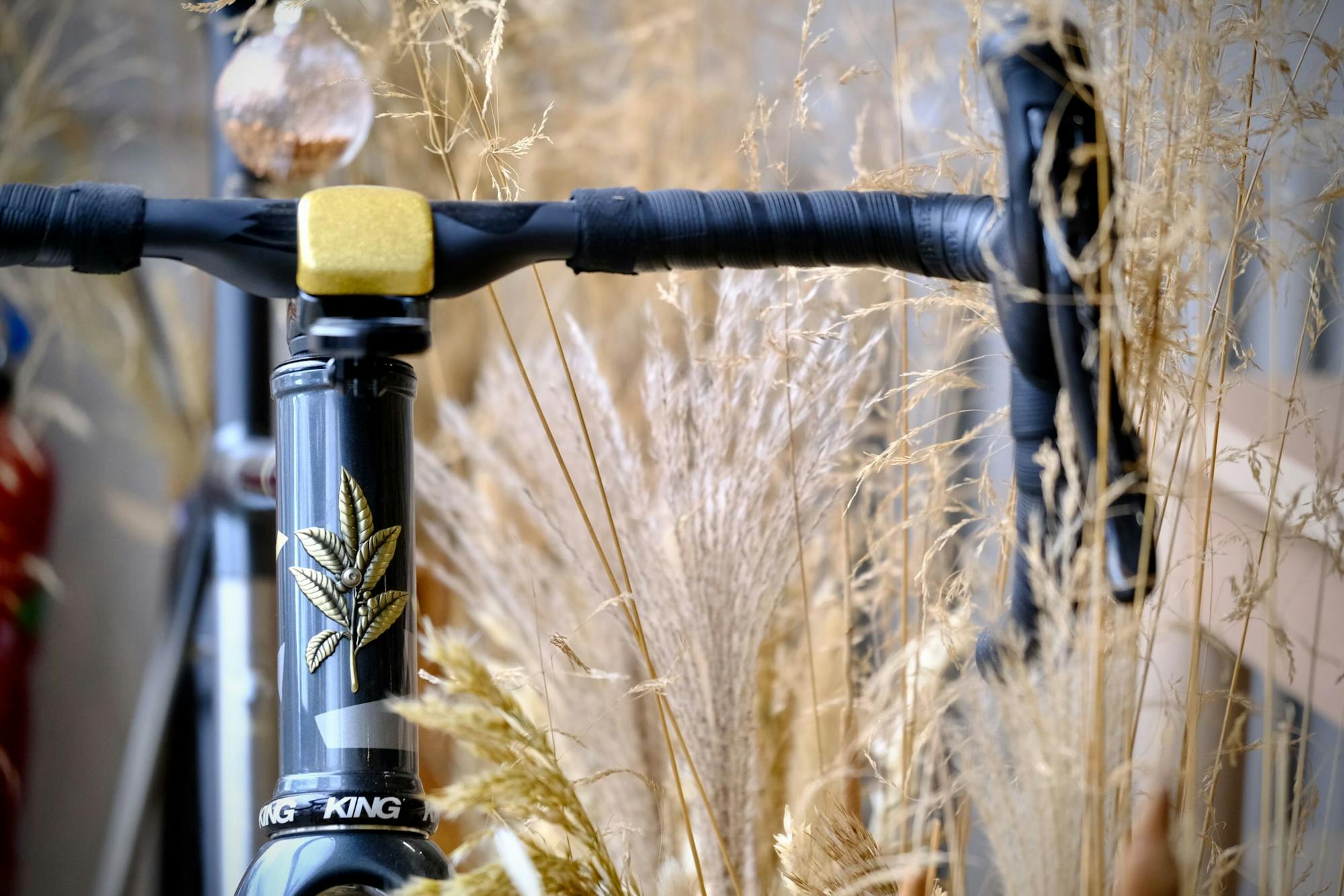 Victoire & Distance bikes in stock !