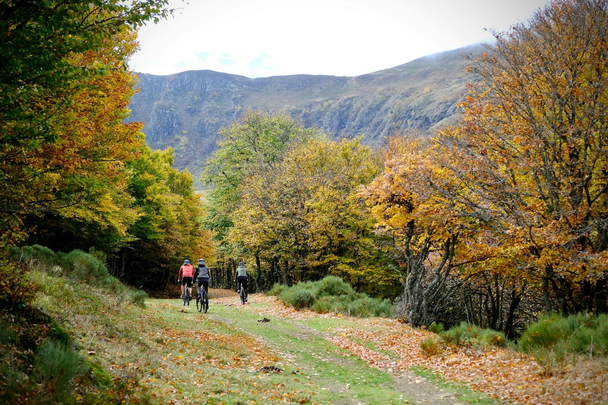Les vélos Distance « Croix-Morand » sont désormais proposés à la location chez Alta Terra.