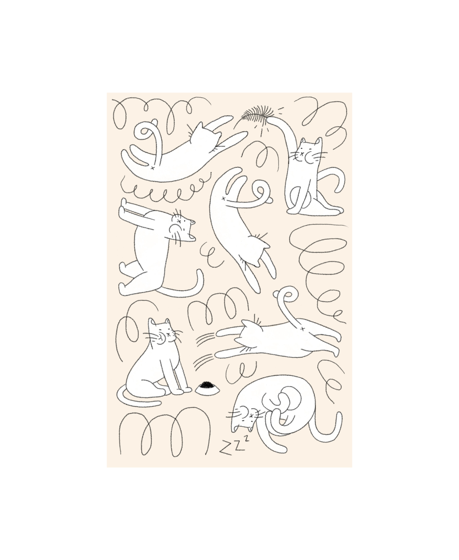 Illu case study image