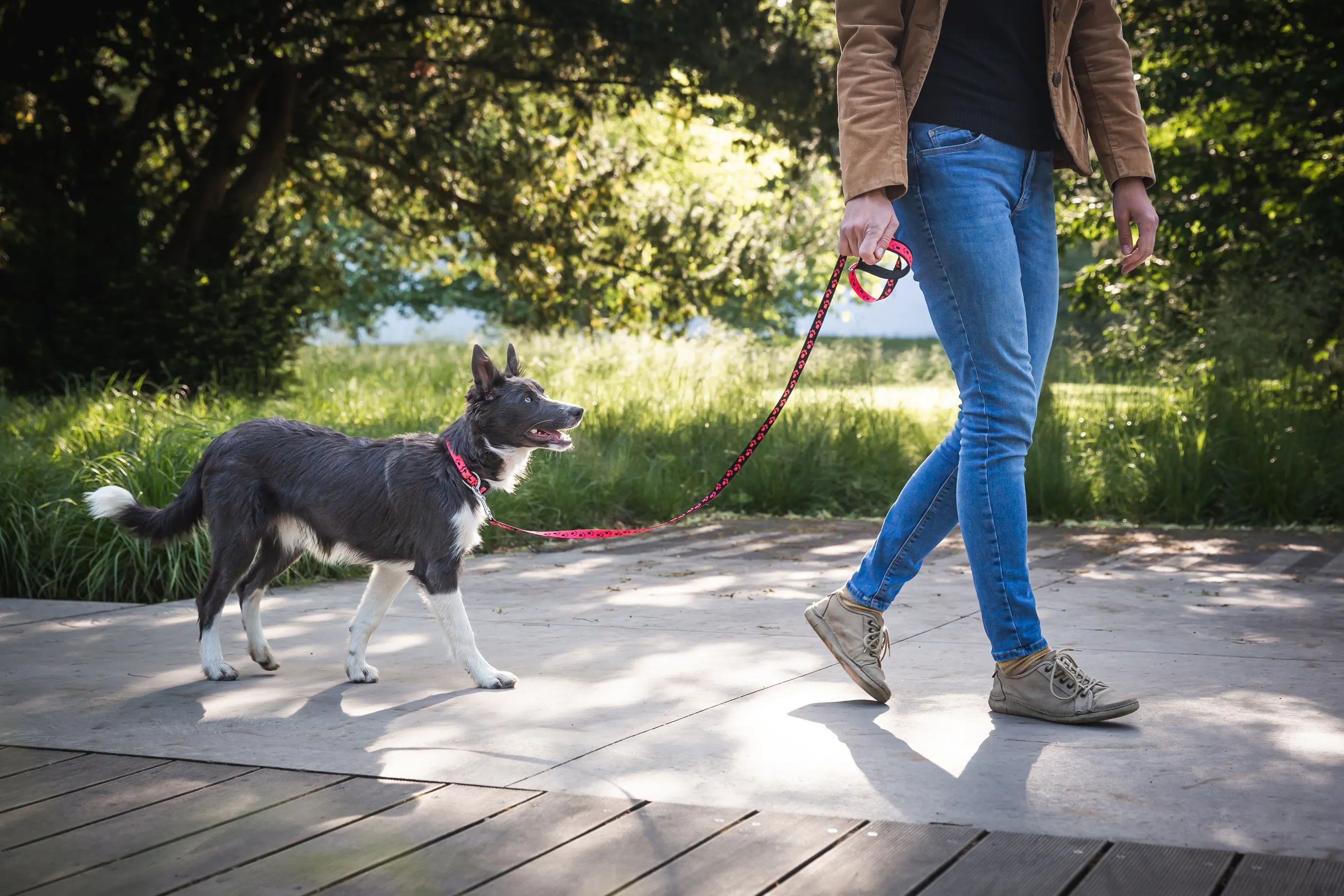 Common Problems and How to Fix Them