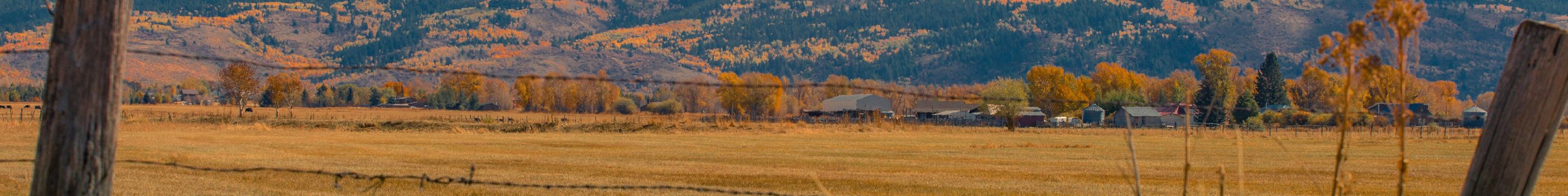 Housetop mountain and pasture