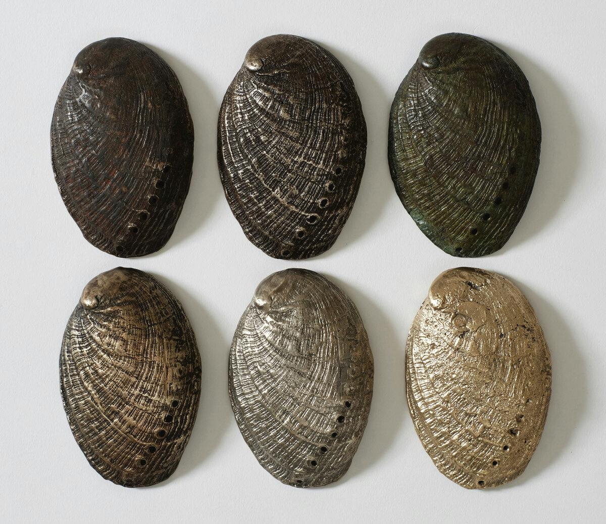 Miroir Molene shell examples