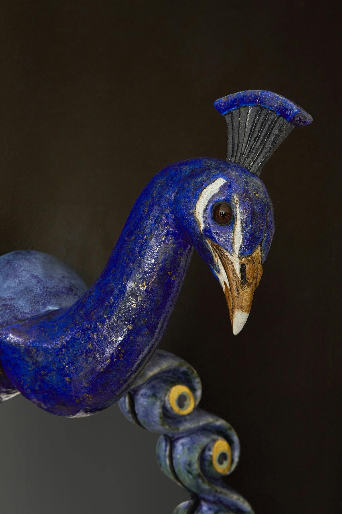 Peacock Mirror closeup on head