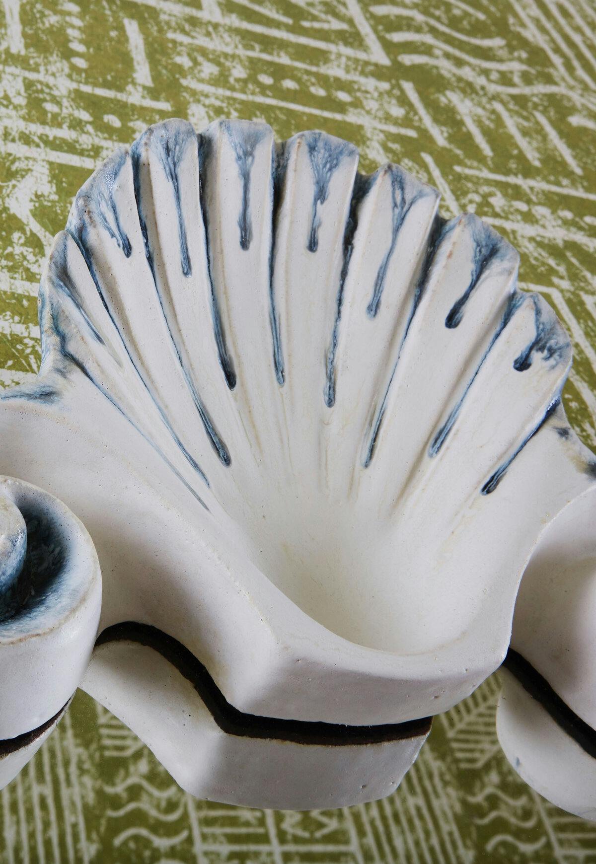 Shell Mirror closeup on shell