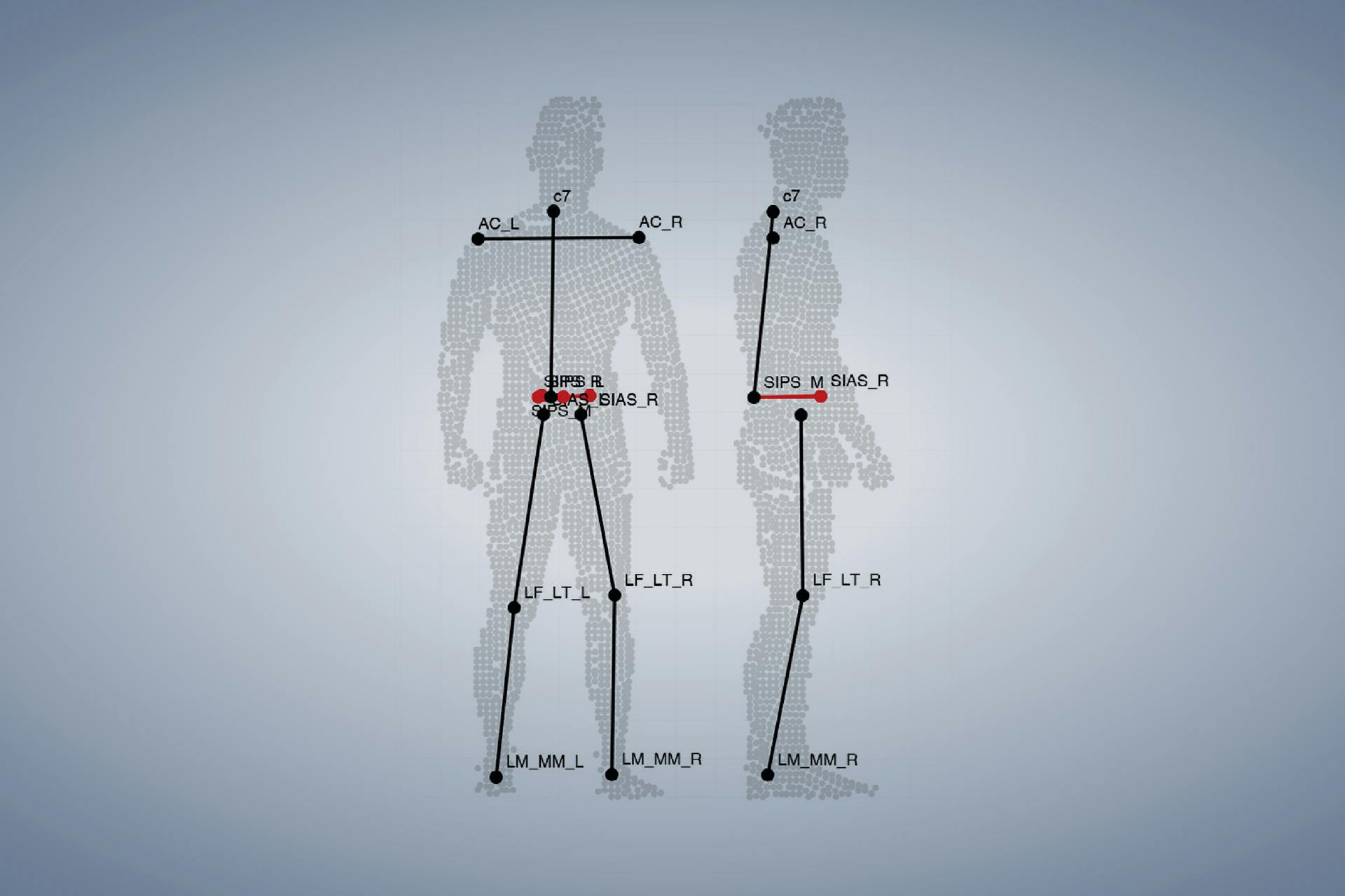 High-precision body measurement with the full-body scanner.
