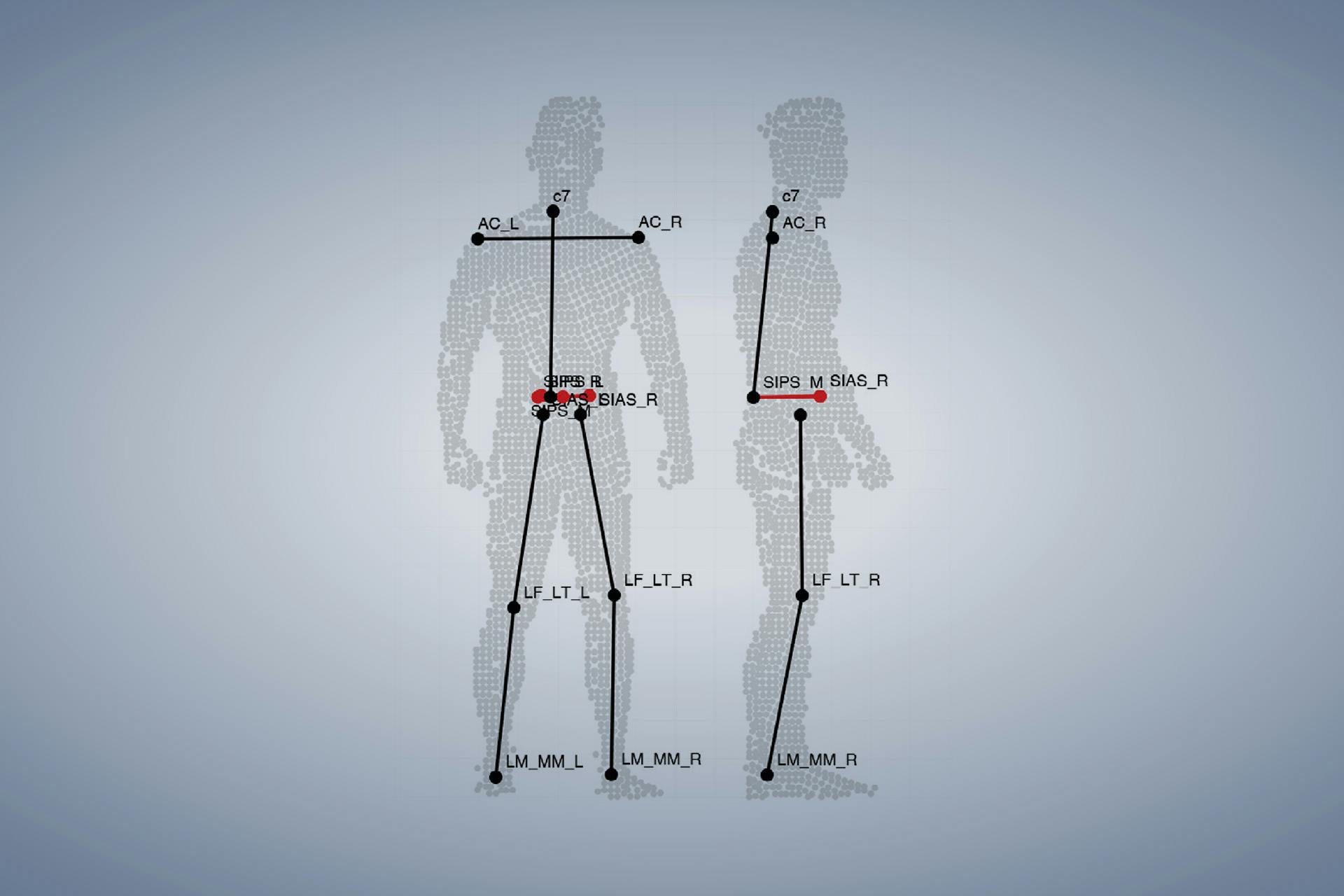 Vitronic 3d Scanner Fur Bestes Training Im Leistungssport
