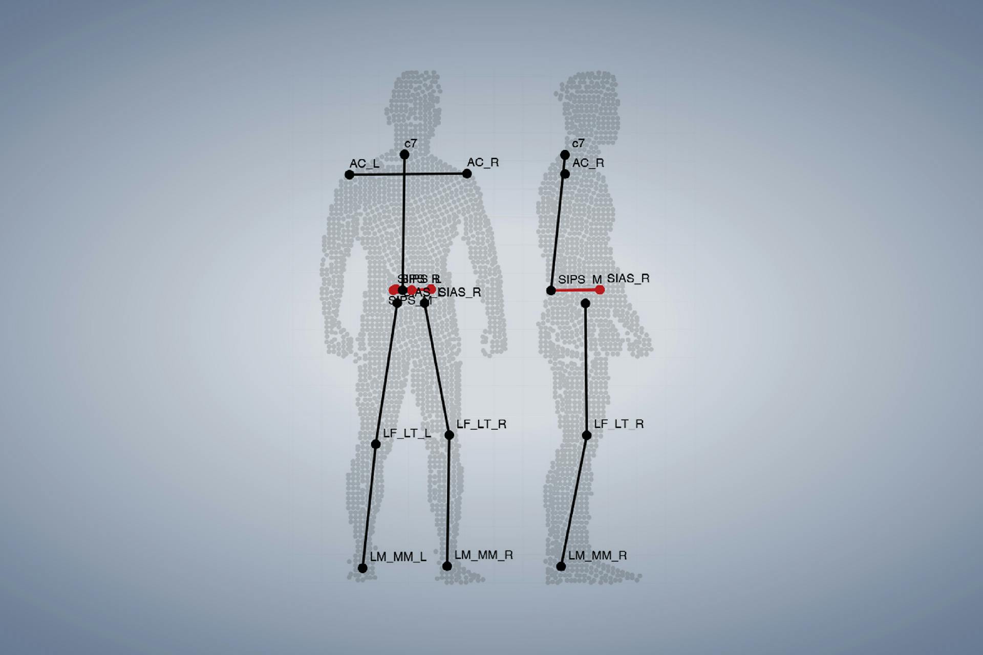 Mesures corporelles de haute précision à l'aide du scanner du corps entier.