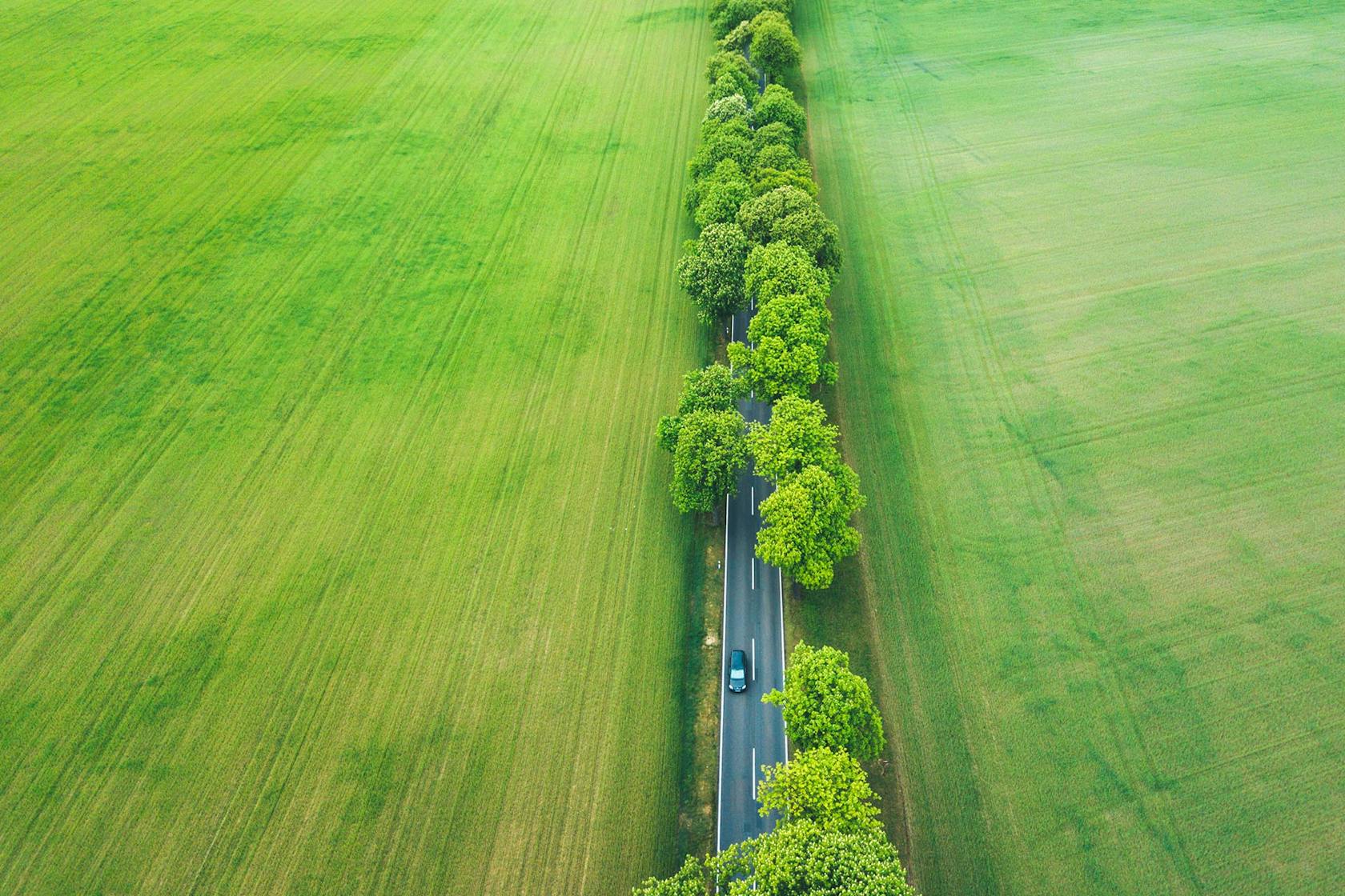 Z lotu ptaka: Samochód jedzie drogą otoczoną zielonymi polami.