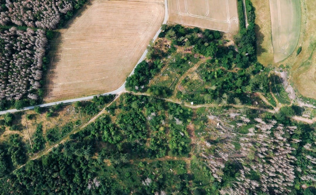 Vista aérea del área forestal recién plantada del bosque de Taunusstein-Hambach