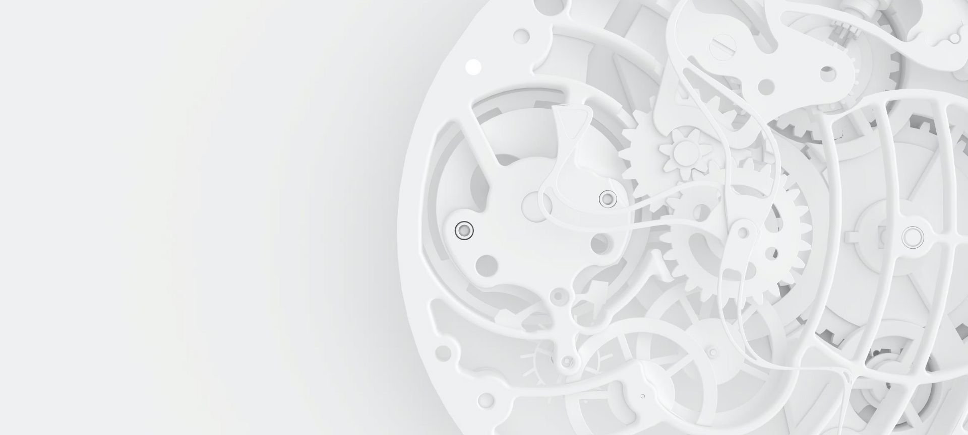 VITRONIC 我们的承诺