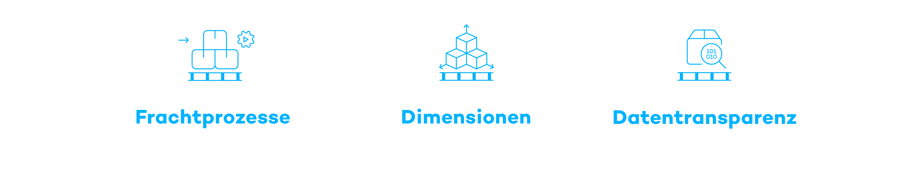 Infografik Palettenvermessung: VITRONIC Lösung für automatisierte Prozesse und zertifizierte Daten.