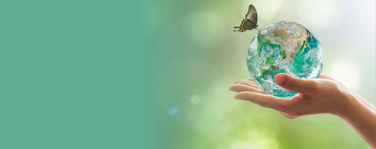 Sustainability at VITRONIC