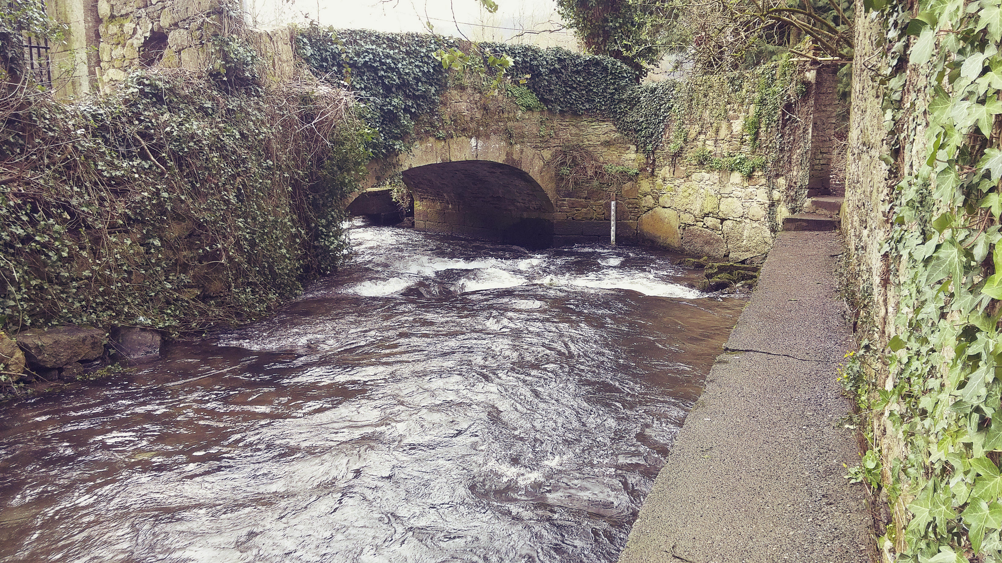 Stream that runs beside Peg Washingtons Lane