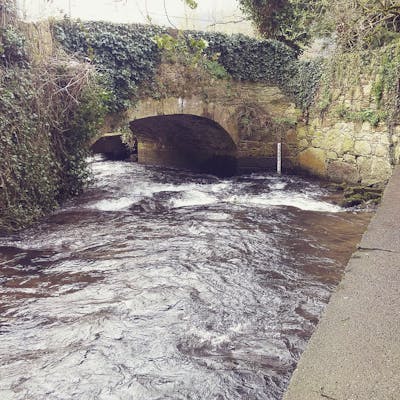 Stream that runs beside Peg Washingtons Lane