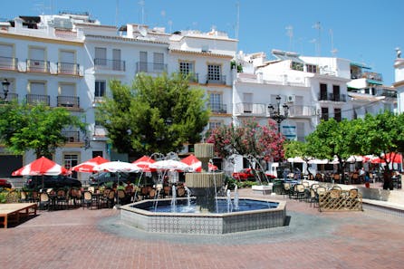 <h3>Torrox</h3>
