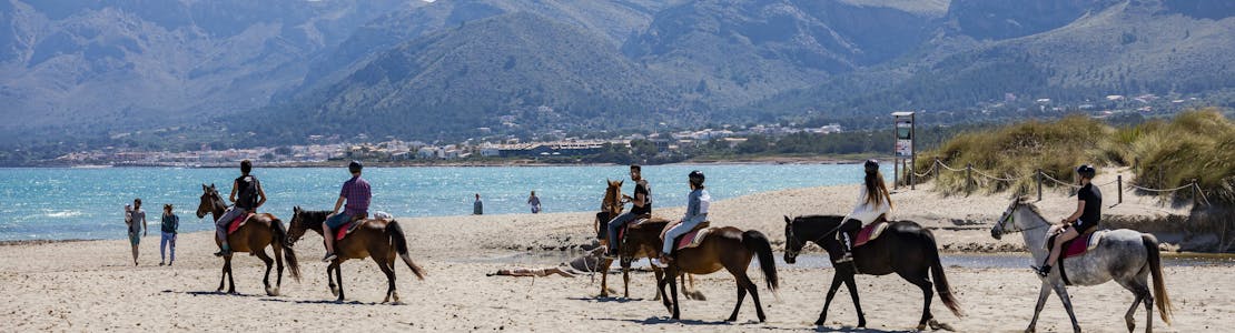 Hevonen ratsastus Alcudian rannalla