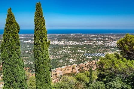 <h3>Selva di Fasano</h3>