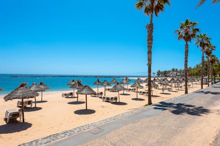 <h3>Playa de Las Americas</h3>
