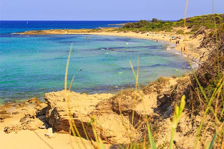 <h3>Torre Guaceto</h3>