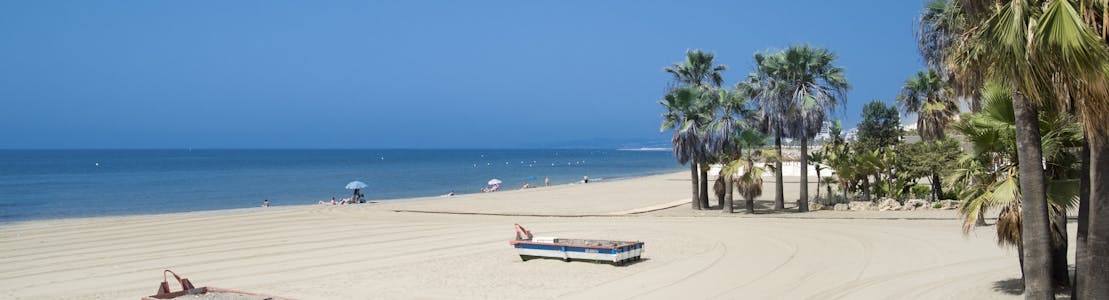 Šolovina na plaži-Estepona-Costa