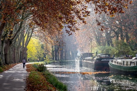 <p>Canal du Midi</p>
