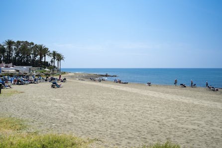 <h3>Atalaya </h3>