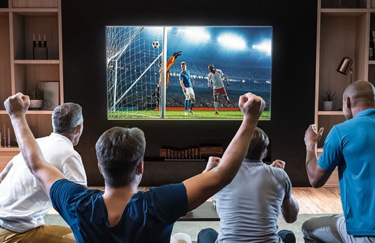 Vindicia for the sports industry