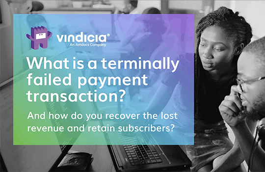 What is a terminally failed payment transaction?
