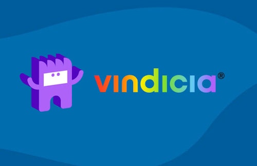 Acceptance, diversity and inclusion: the Vindicia DNA