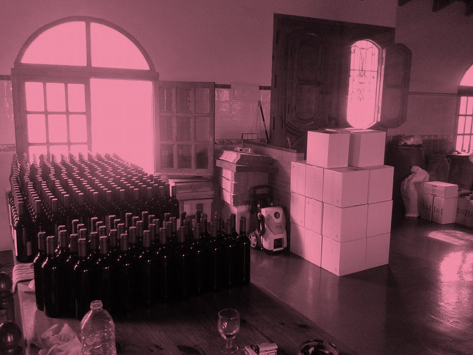 Celler Tomàs Torres - Vinsupernaturel