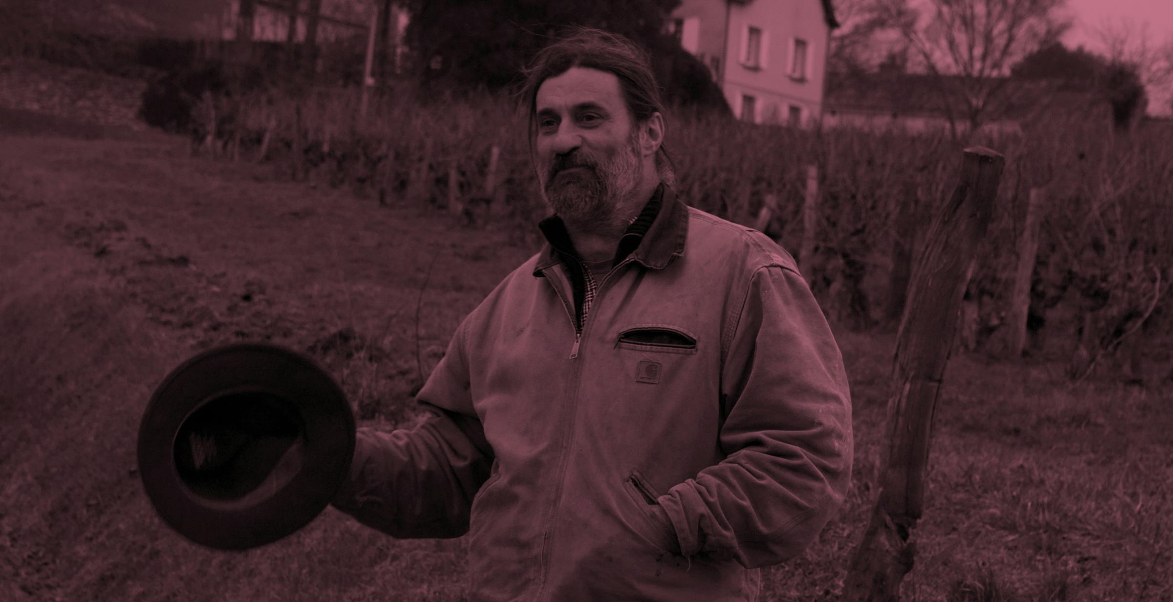 Domaine Cousin-Leduc - Vinsupernaturel