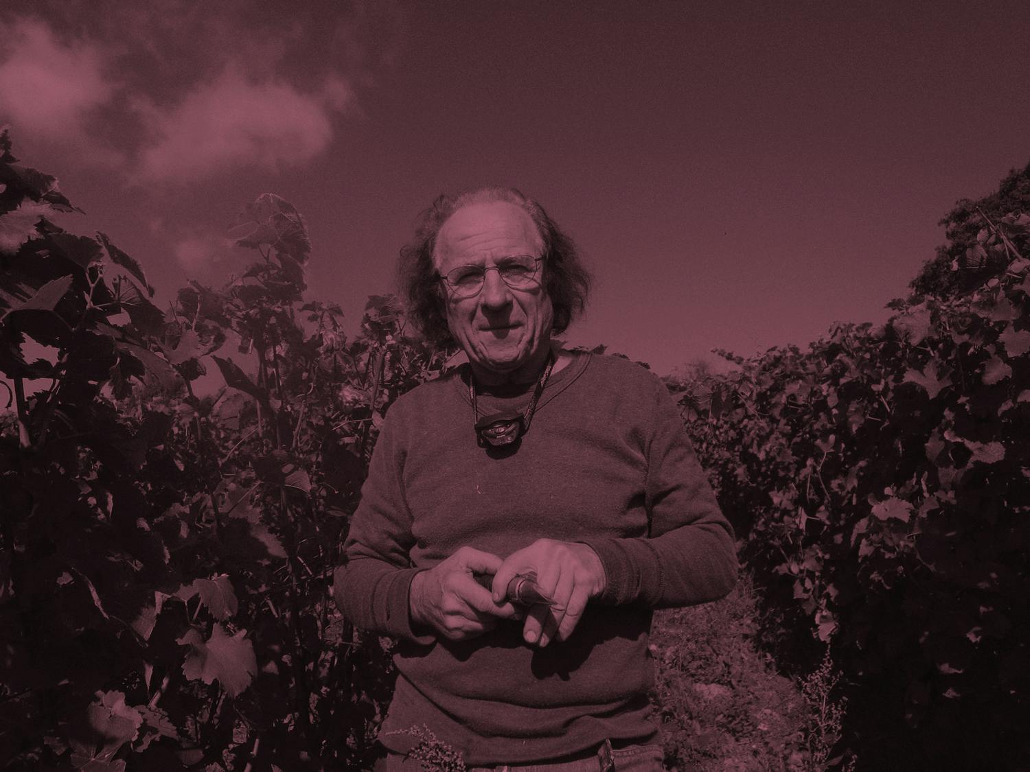 Domaine de L'Ange Vin - Vinsupernaturel